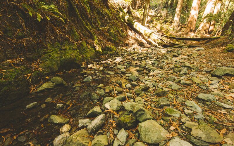 Rocky Stream Bed