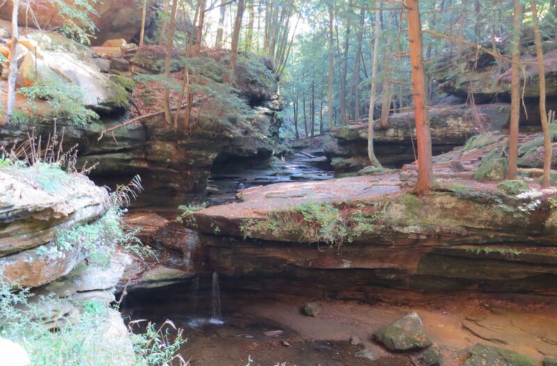 Rocky Stream in Forest — Green