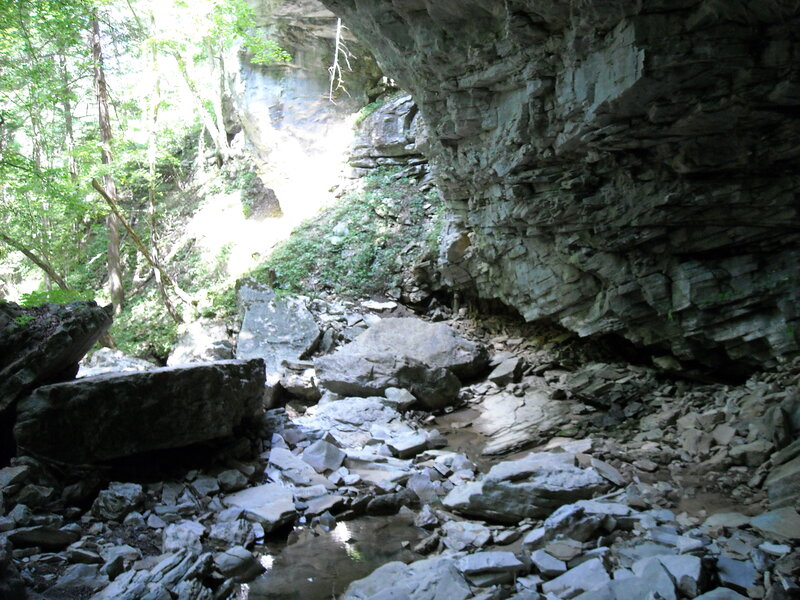 Rocky Stream in Forest