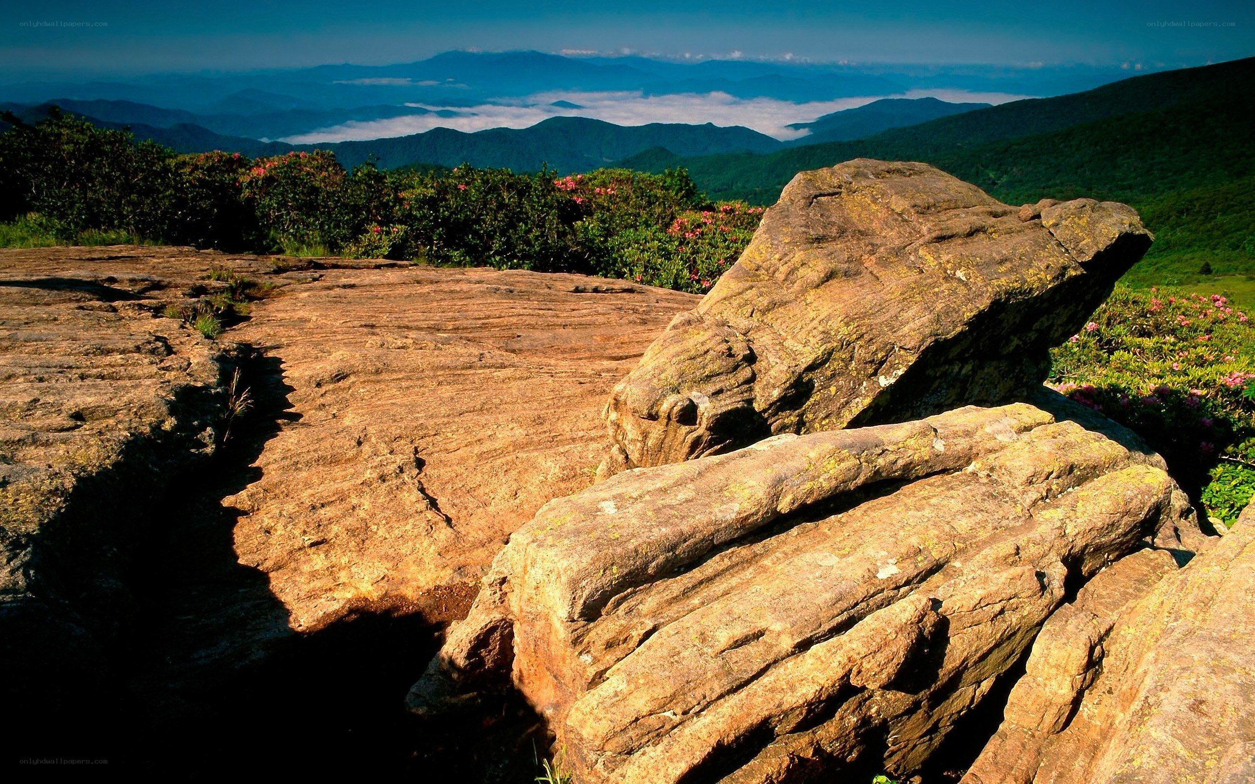 Rocky summit with mountain view