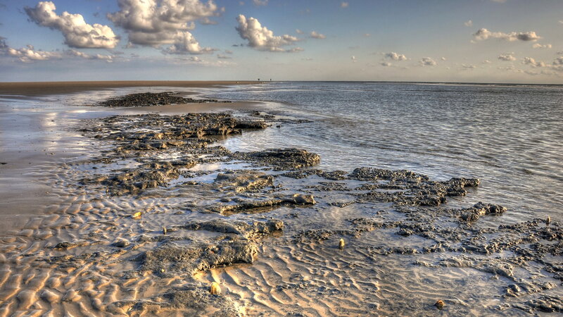 Rocky Tidal Flats — Blue, Serene
