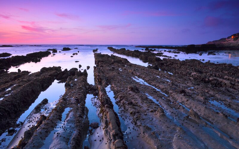 Rocky Tidal Flats — Purple, Serene