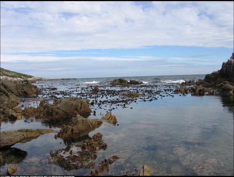 Rocky Tidal Pool