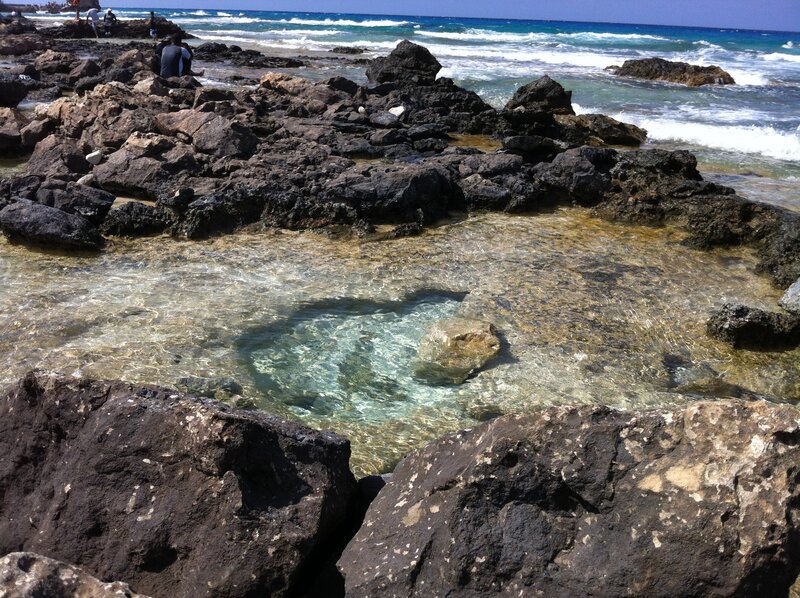 Rocky Tide Pool — Blue, Serene