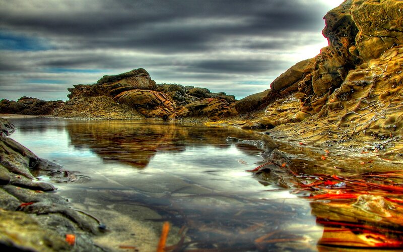 Rocky Tide Pool — Gray, Dramatic