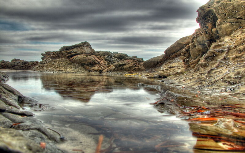 Rocky Tide Pool — Gray