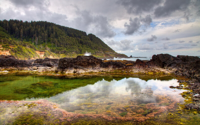 Rocky Tide Pool — Green, Dramatic