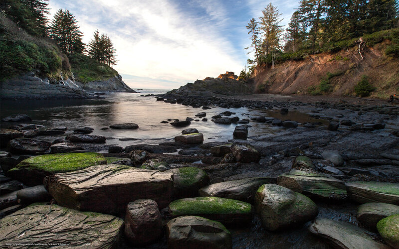 Rocky Tide Pool — Green, Serene