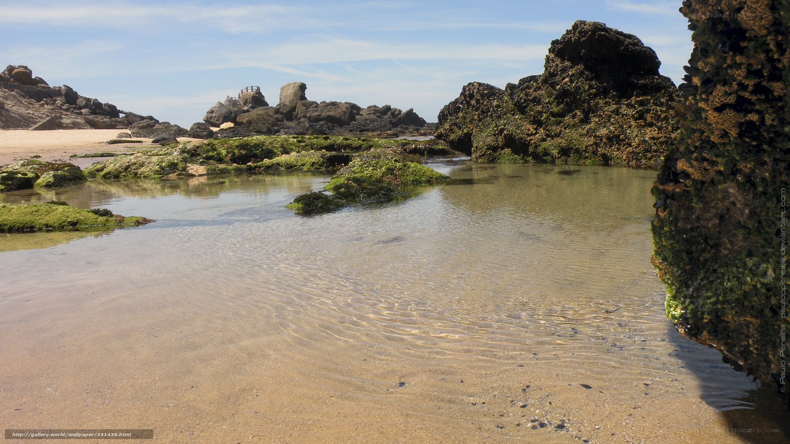 rocky tide pools at beach