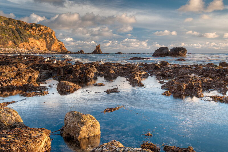 Rocky Tide Pools at Coast