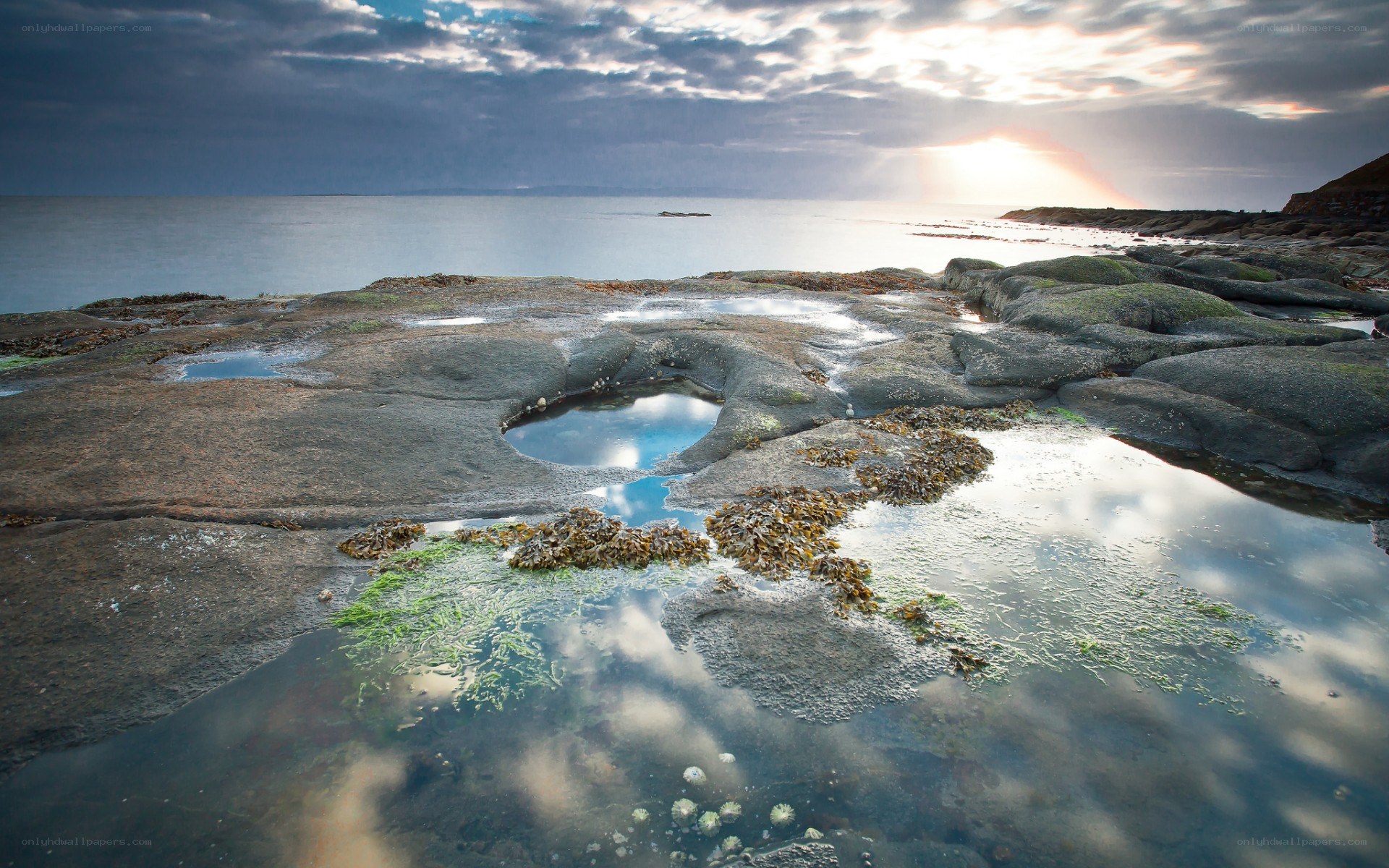 Rocky tide pools at sunset