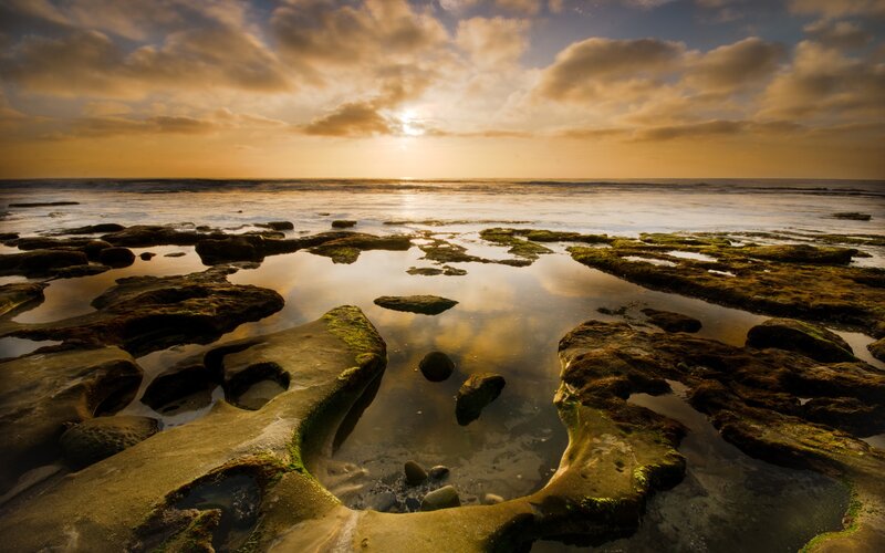 Rocky Tide Pools at Sunset — Gold