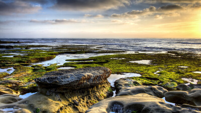 Rocky Tide Pools at Sunset — Green