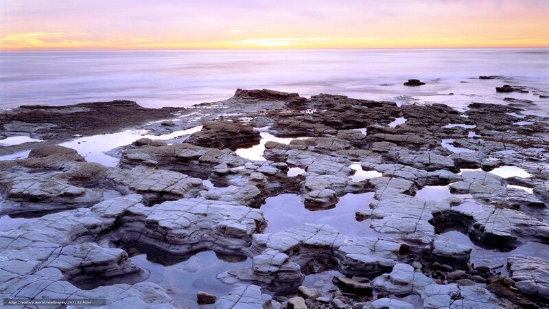 Rocky Tide Pools at Sunset — Purple, Serene