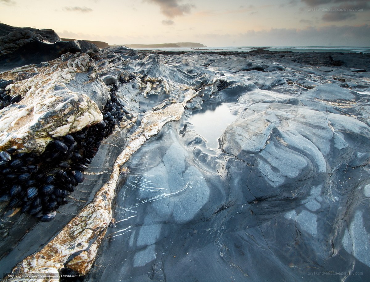Rocky tide pools at sunset