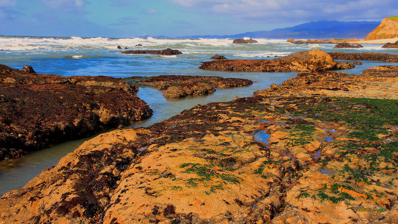 Rocky Tide Pools — Blue, Serene