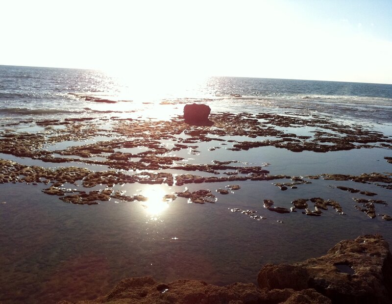 Rocky Tide Pools — Blue