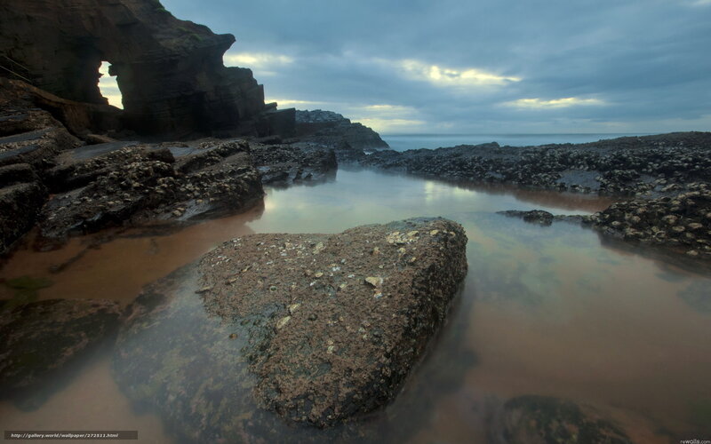 Rocky Tide Pools — Gray