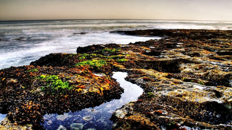 Rocky Tide Pools — Green, Serene, Sunset