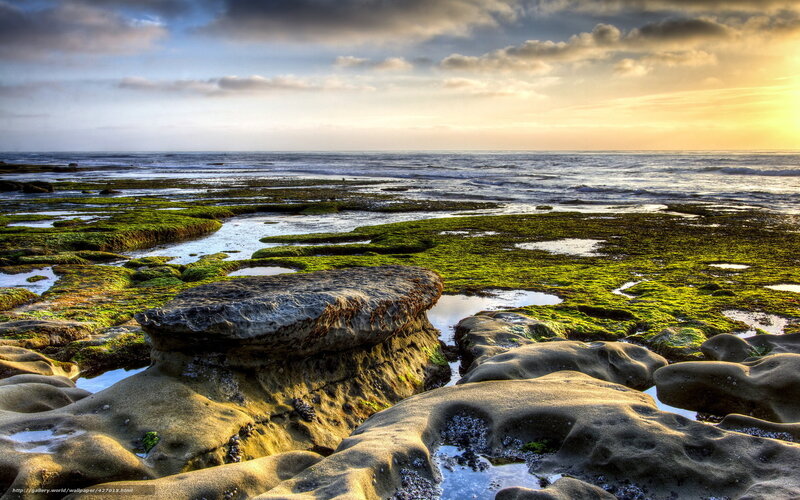 Rocky Tide Pools — Green, Serene