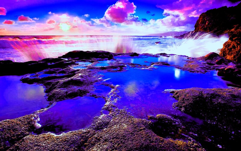 Rocky Tide Pools — Purple