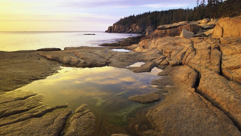 Rocky Tide Pools — Yellow