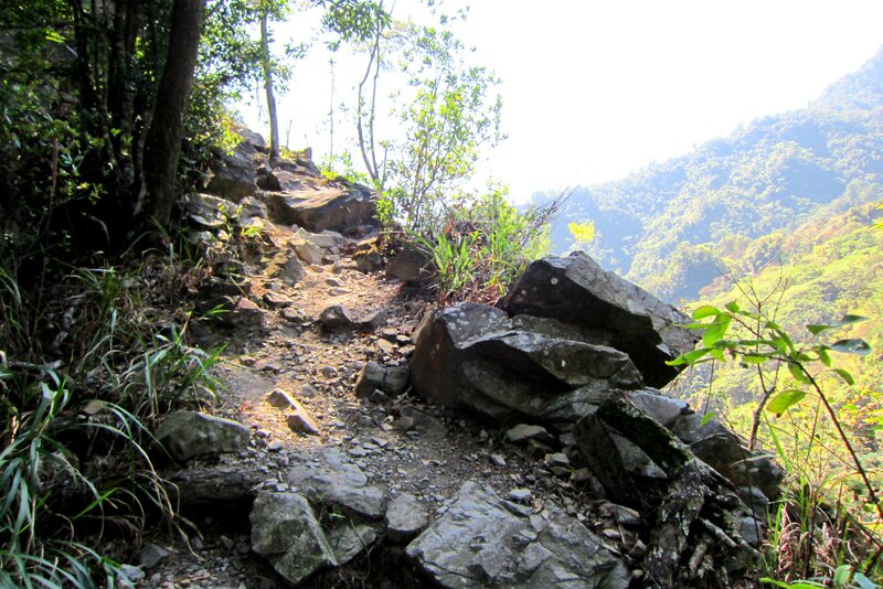 Rocky Trail in Forest — Green, Natural