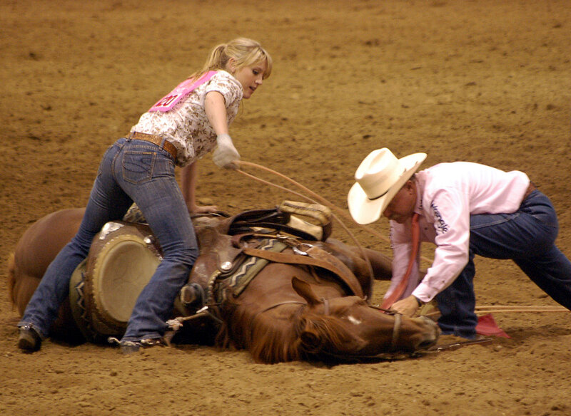 Rodeo Horse and Riders