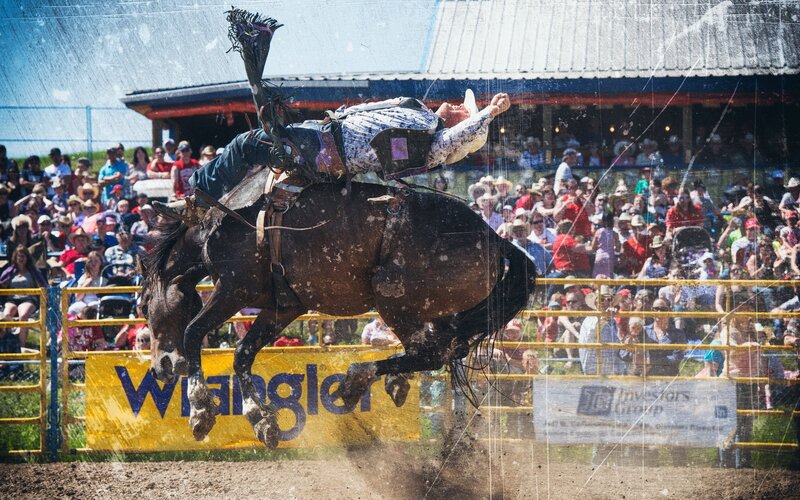 Rodeo Rider on Bucking Horse — Brown