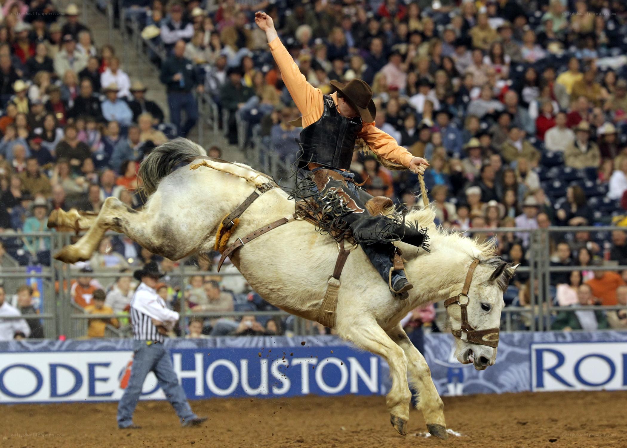 Rodeo rider on bucking horse