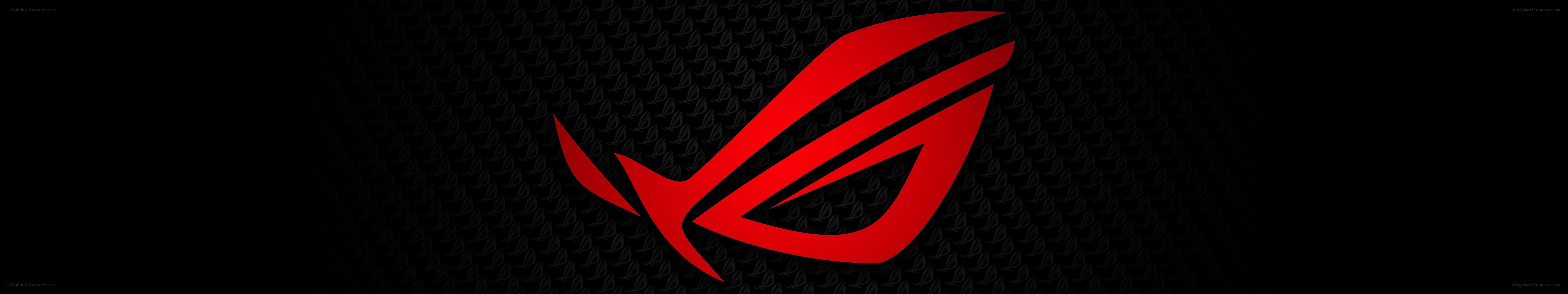 ROG logo on carbon fiber