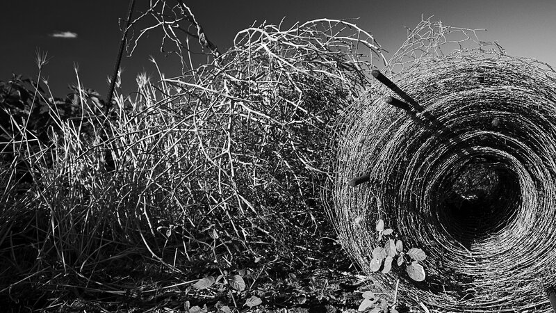 Roll of Barbed Wire — Black
