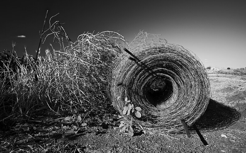 Roll of barbed wire in field