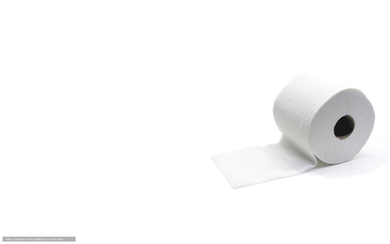 roll of toilet paper