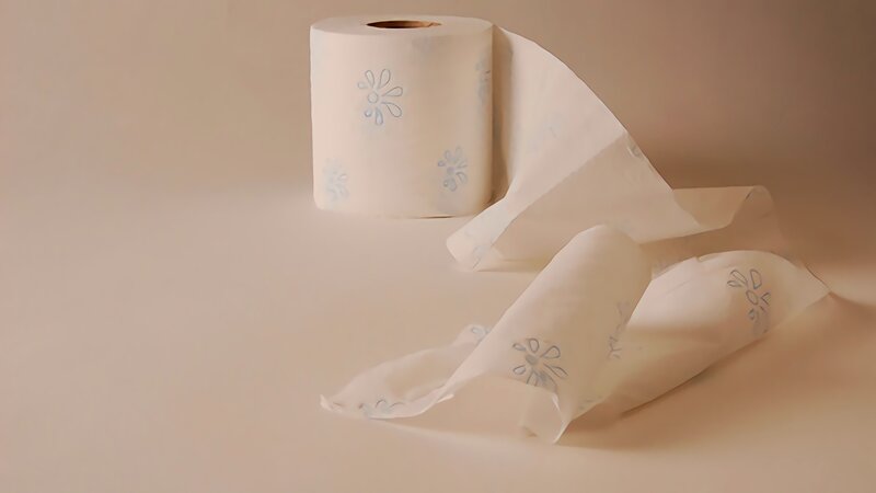 Roll of Toilet Paper — White, Neutral, Photograph
