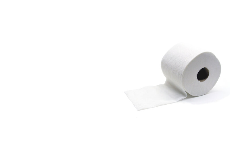 Roll of Toilet Paper — White