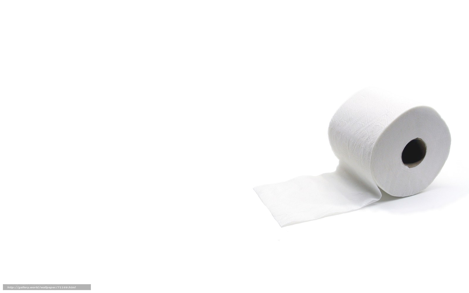 roll of toilet paper