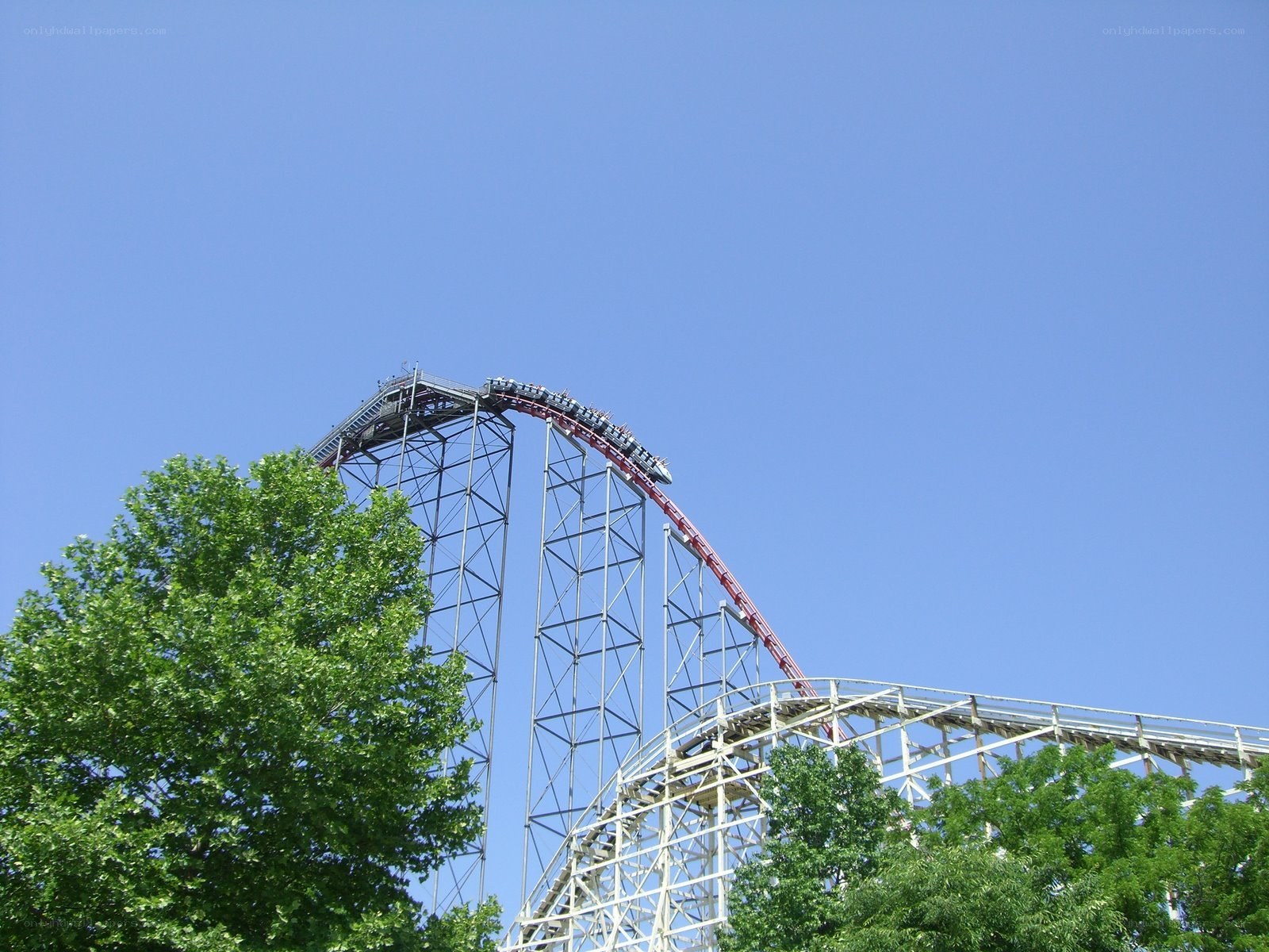 Roller coaster at amusement park