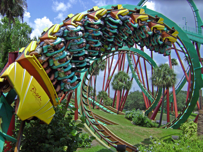 Roller Coaster Riders