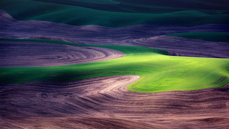 Rolling Agricultural Fields — Green, Serene