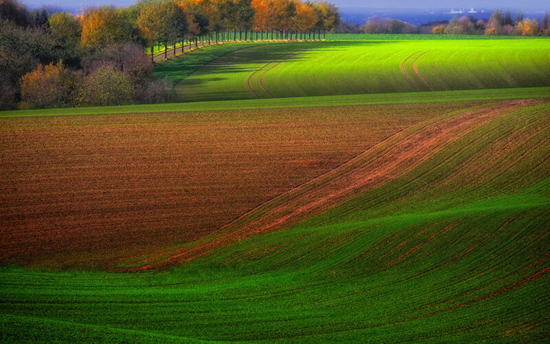 Rolling Agricultural Fields — Green