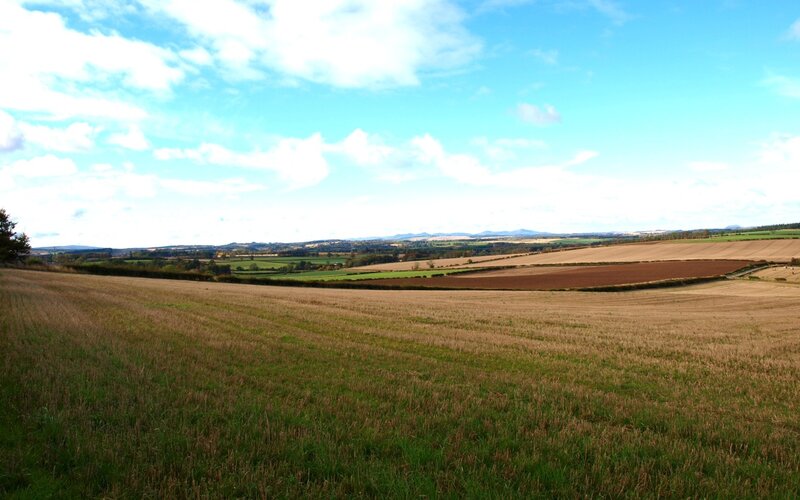 Rolling Farmland Fields — Blue, Serene