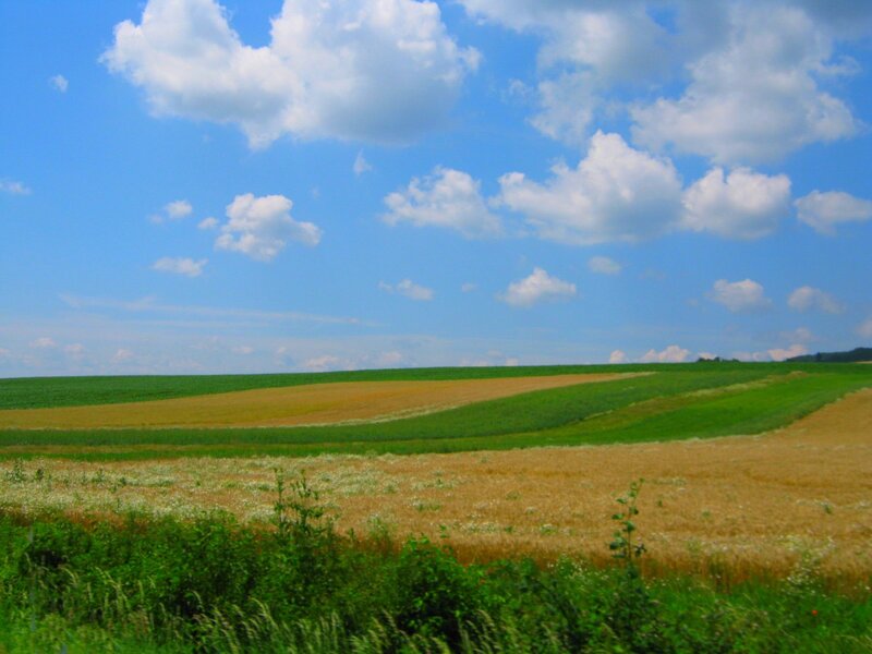 Rolling Farmland Fields — Blue