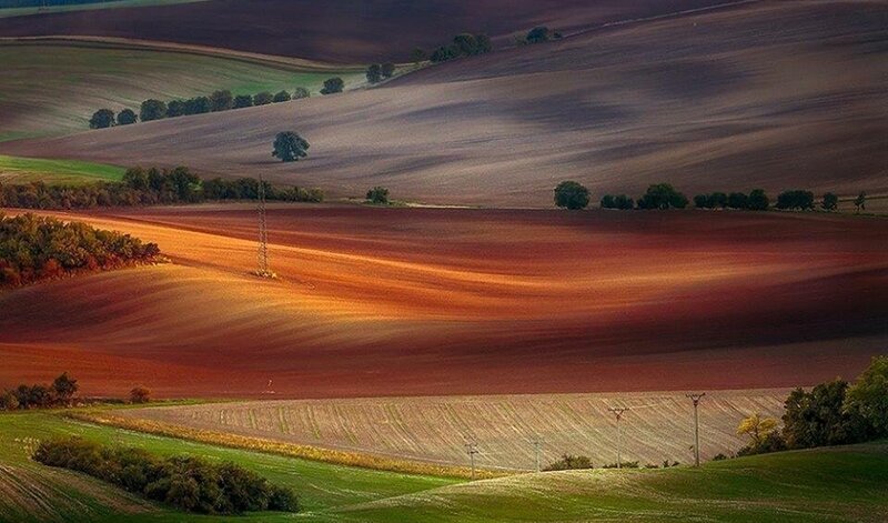 Rolling Farmland Fields — Brown