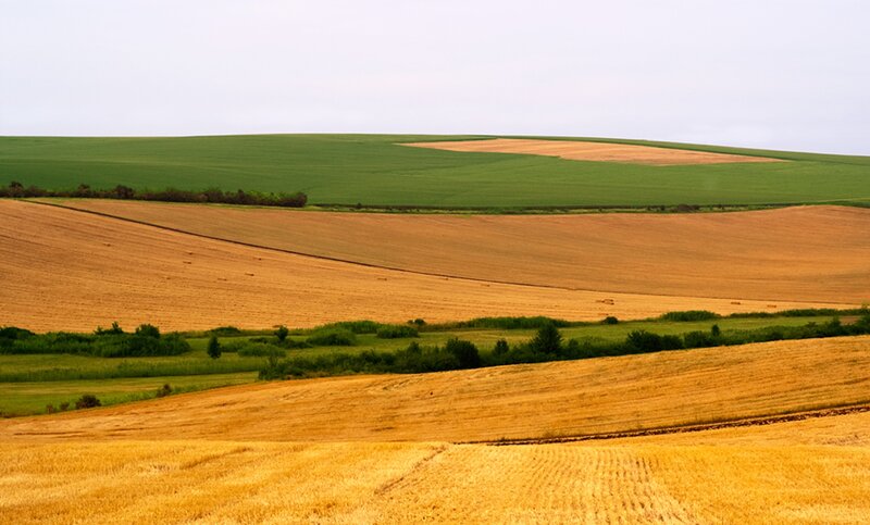 Rolling Farmland Fields — Green, Serene