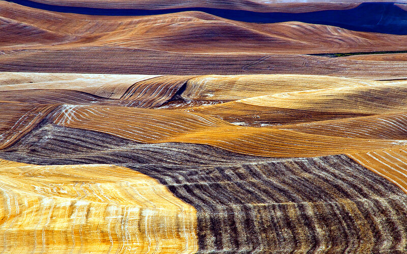 Rolling Farmland Hills — Brown