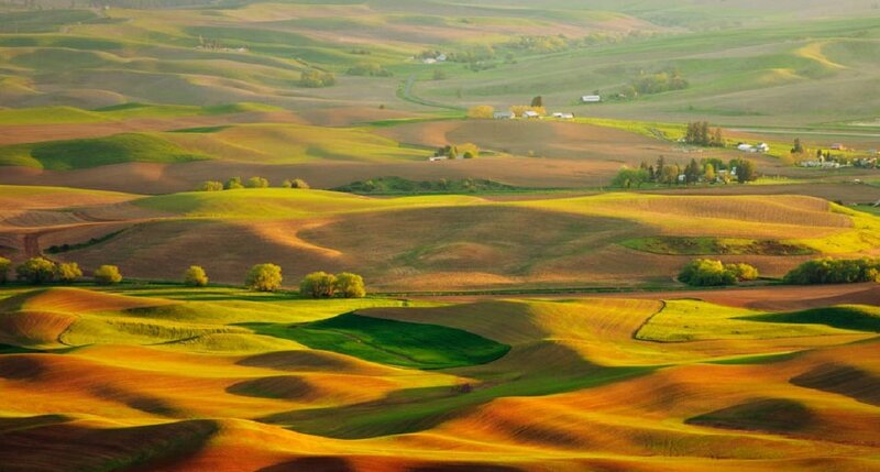 Rolling Farmland Hills — Green