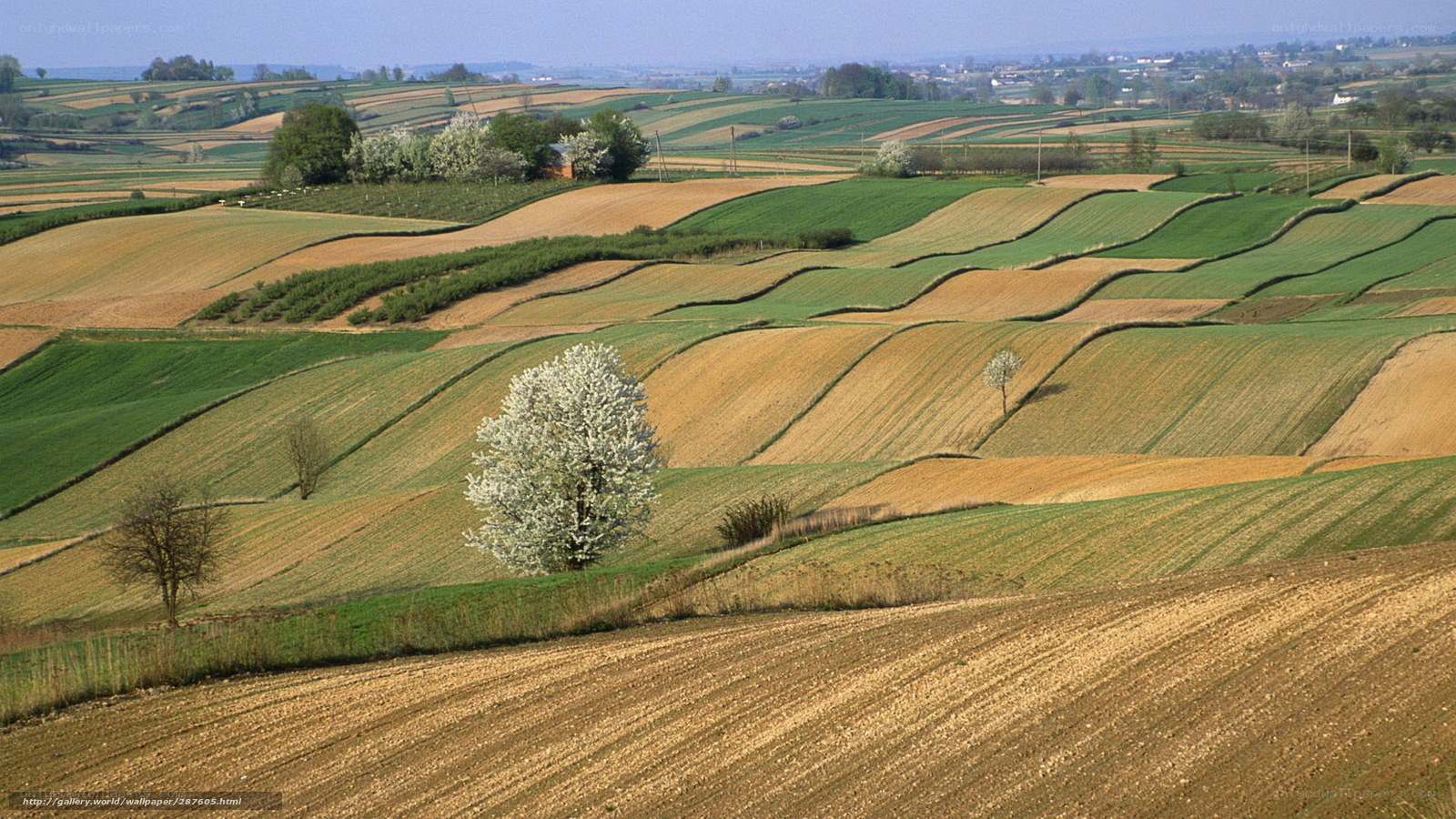 Rolling farmland hills