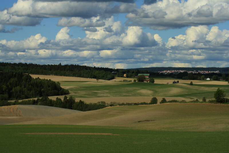 Rolling Farmland Landscape
