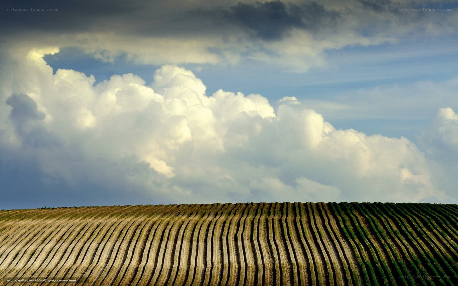 Rolling farmland under cloudy sky
